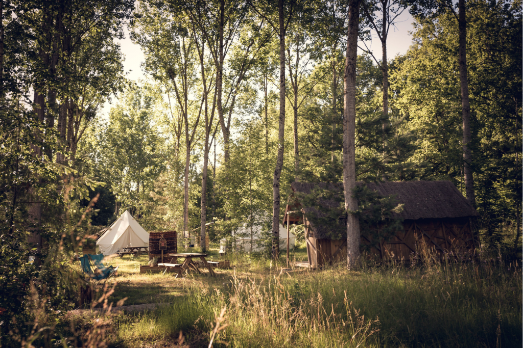 fôret du camping